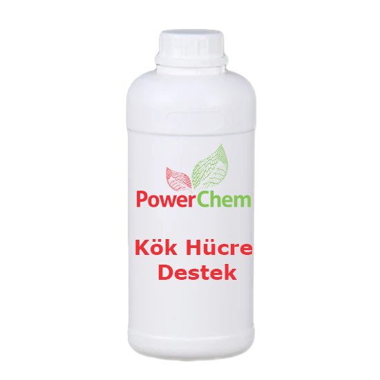Kök Hücre Destekleri